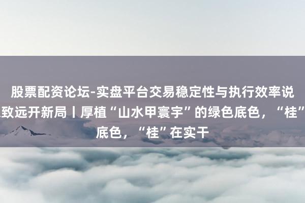 股票配资论坛-实盘平台交易稳定性与执行效率说明 行稳致远开新局丨厚植“山水甲寰宇”的绿色底色，“桂”在实干